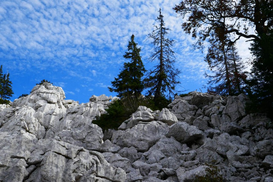 Velebit 11 Velebit 11